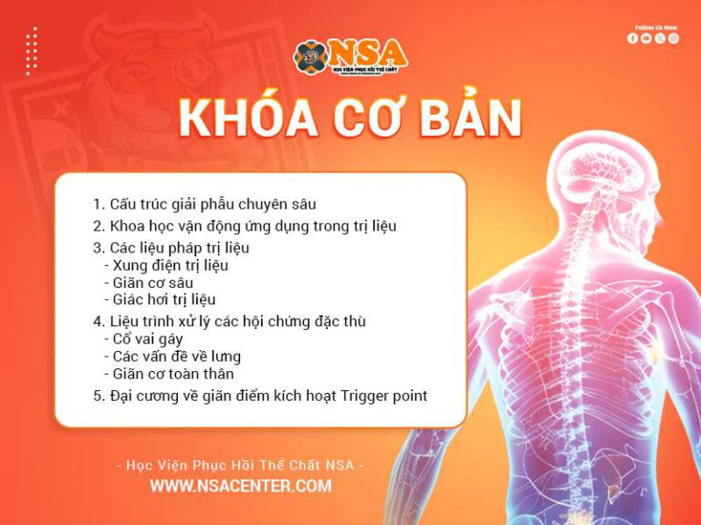 Học Viện Phục Hồi Thể Chất NSA Chất Lượng Hàng Đầu Việt Nam