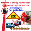 khanh-treo-xe-o-to-hop-tuoi-than-tuong-phat-de-xe-o-to5.jpg